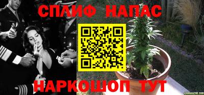 амф Краснодар