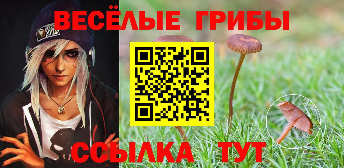 Галлюциногенные грибы MAGIC MUSHROOMS  Псилоцибиновые грибы Magic Shrooms  Камень-на-Оби  Вход с VPN 